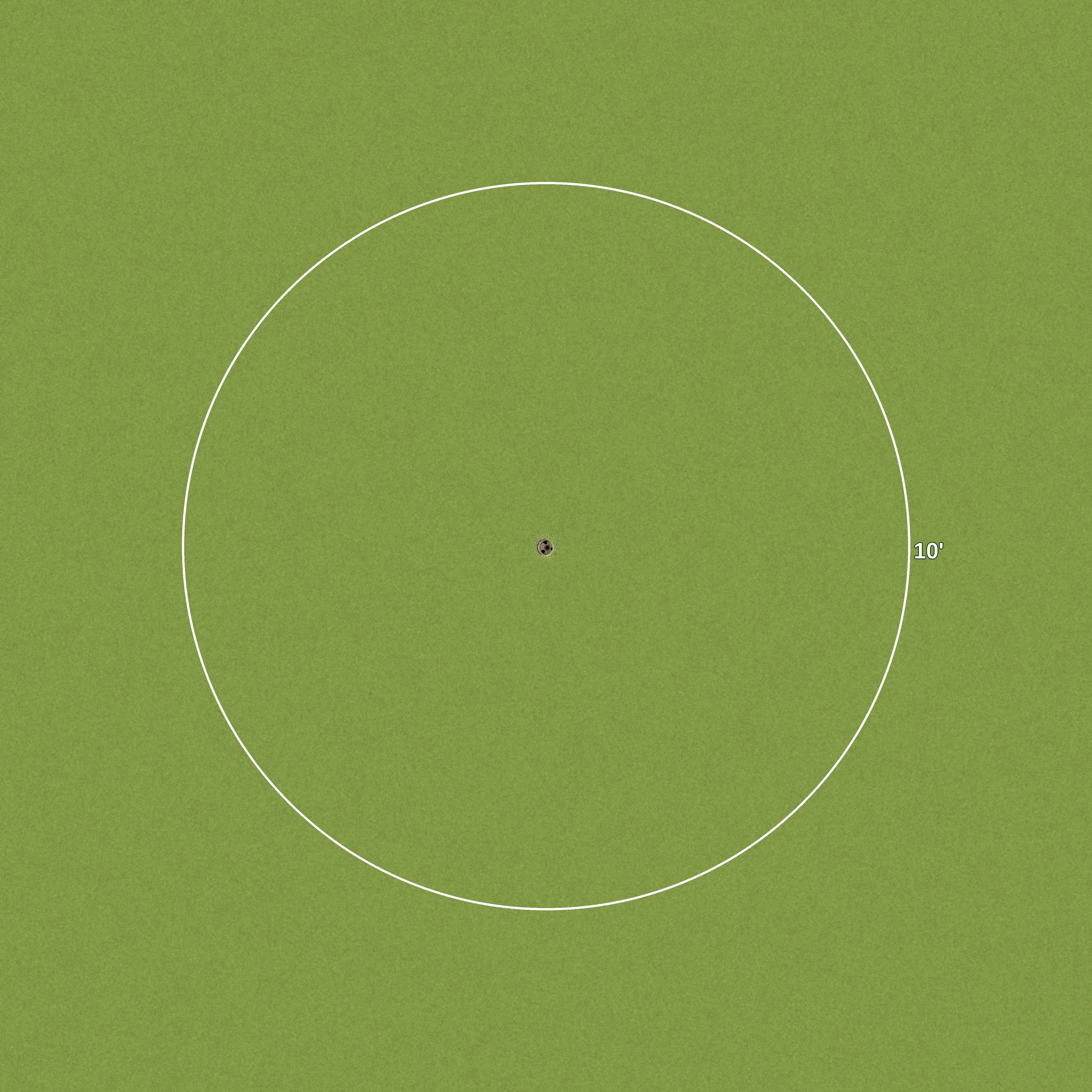 10 Foot Golf Ring