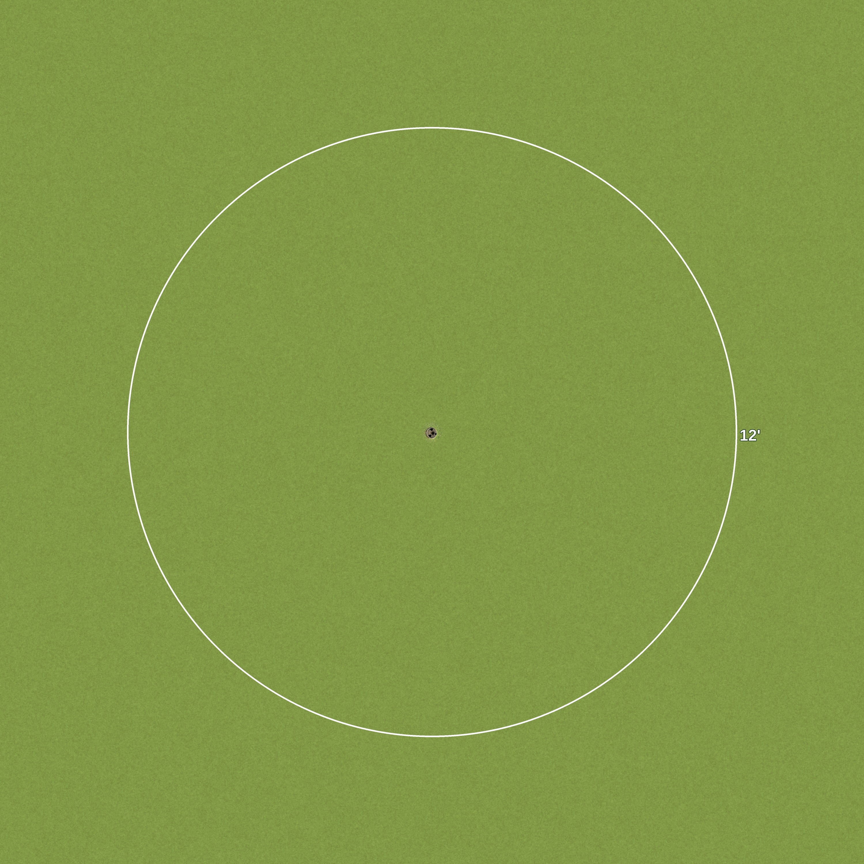12 Foot Golf Ring