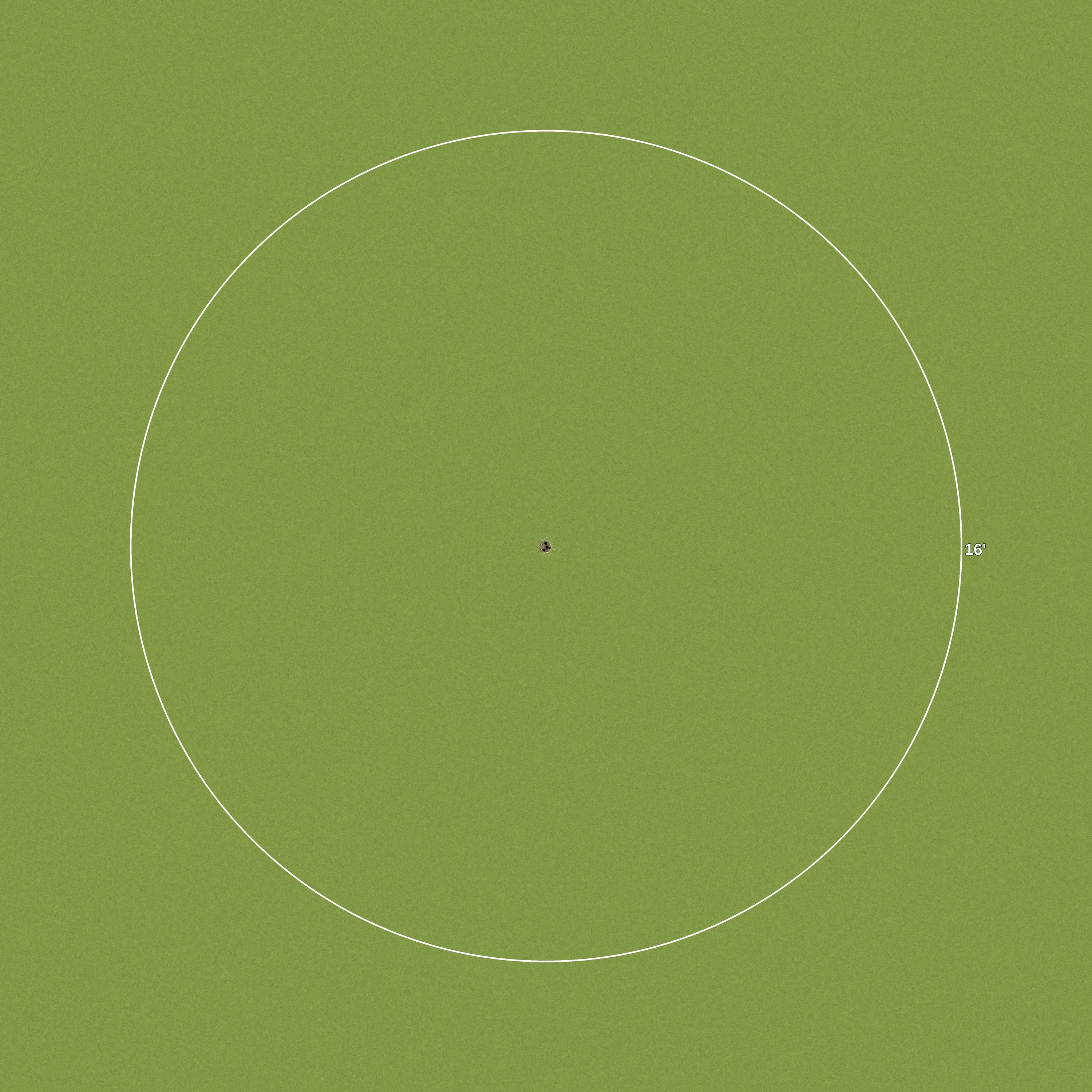 16 Foot Golf Ring
