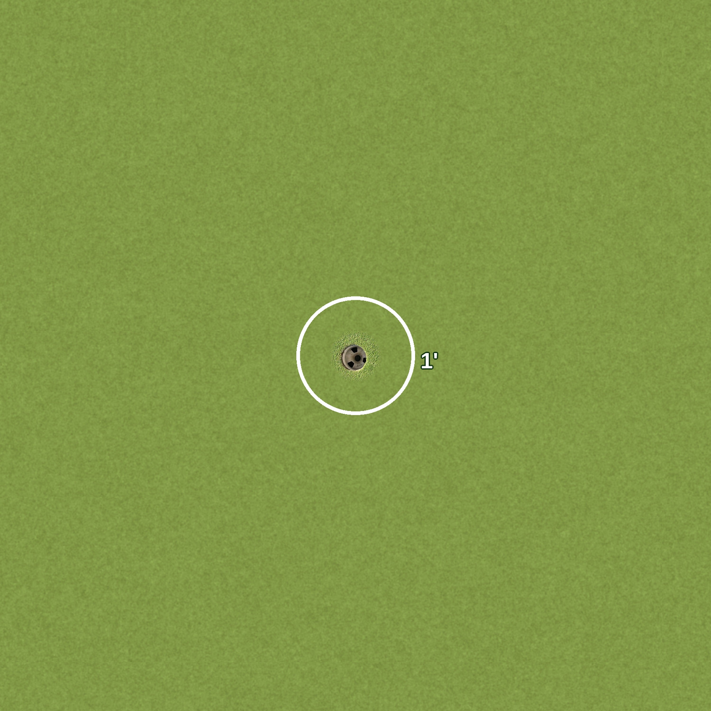 1 Foot Golf Ring