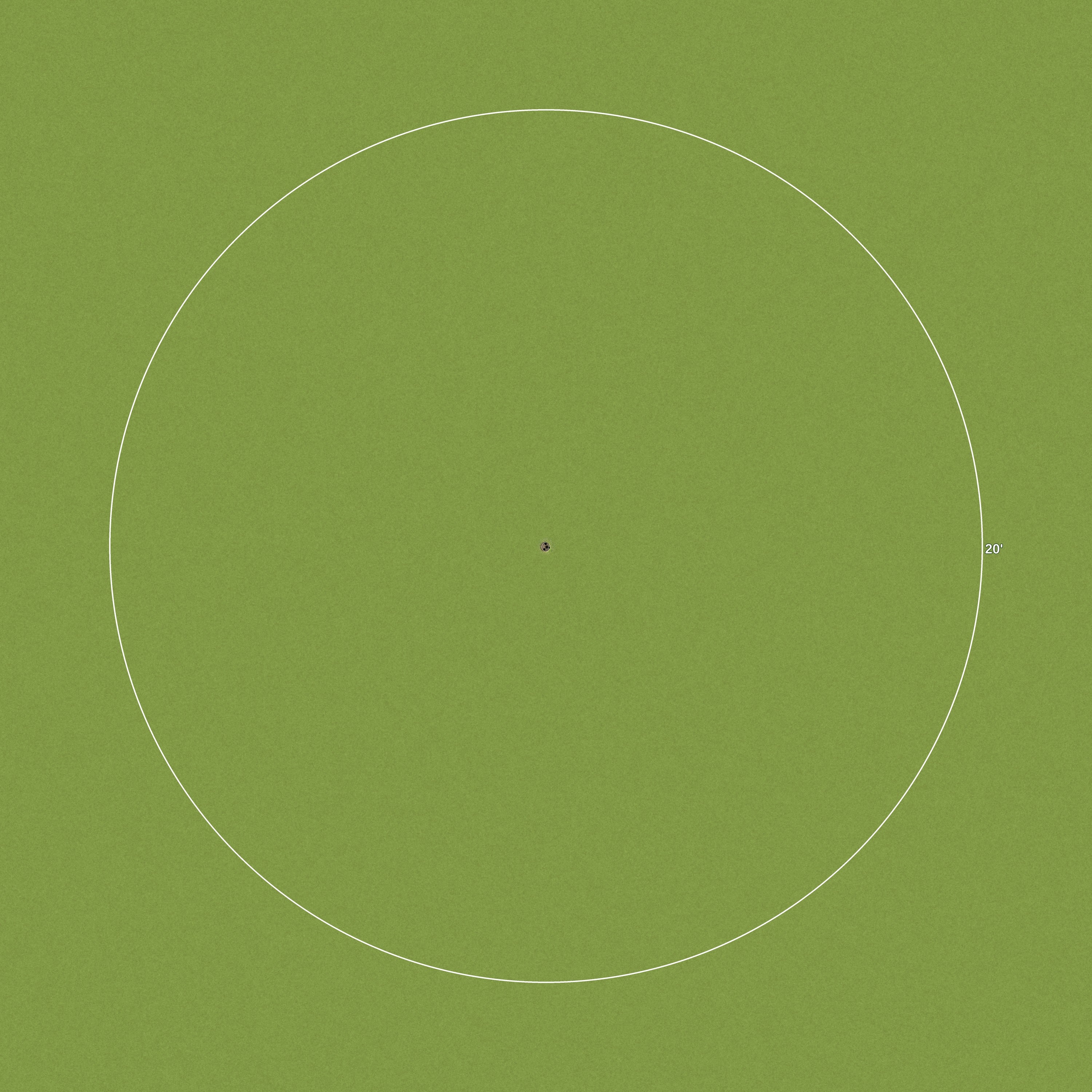 20 Foot Golf Ring
