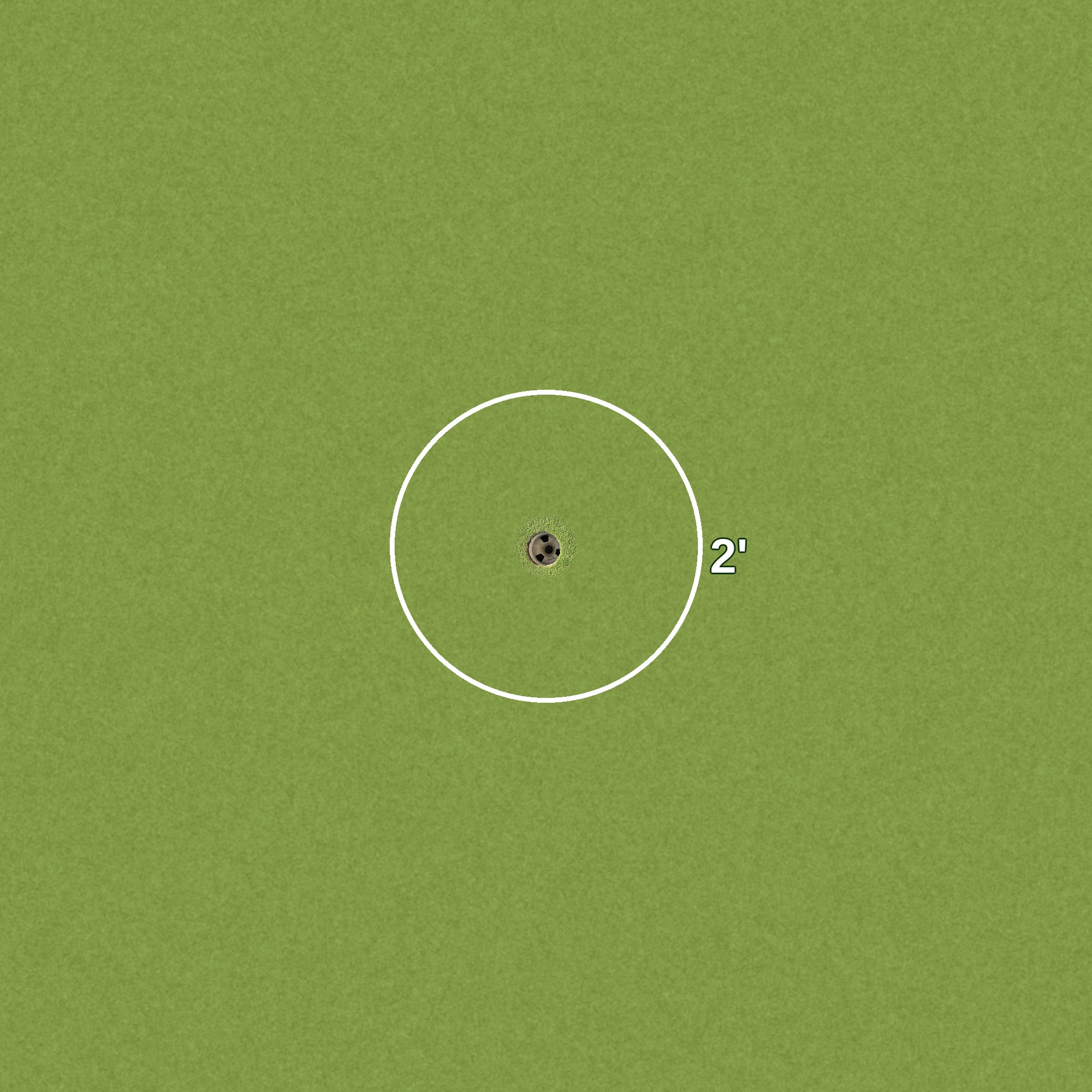 2 Foot Golf Ring