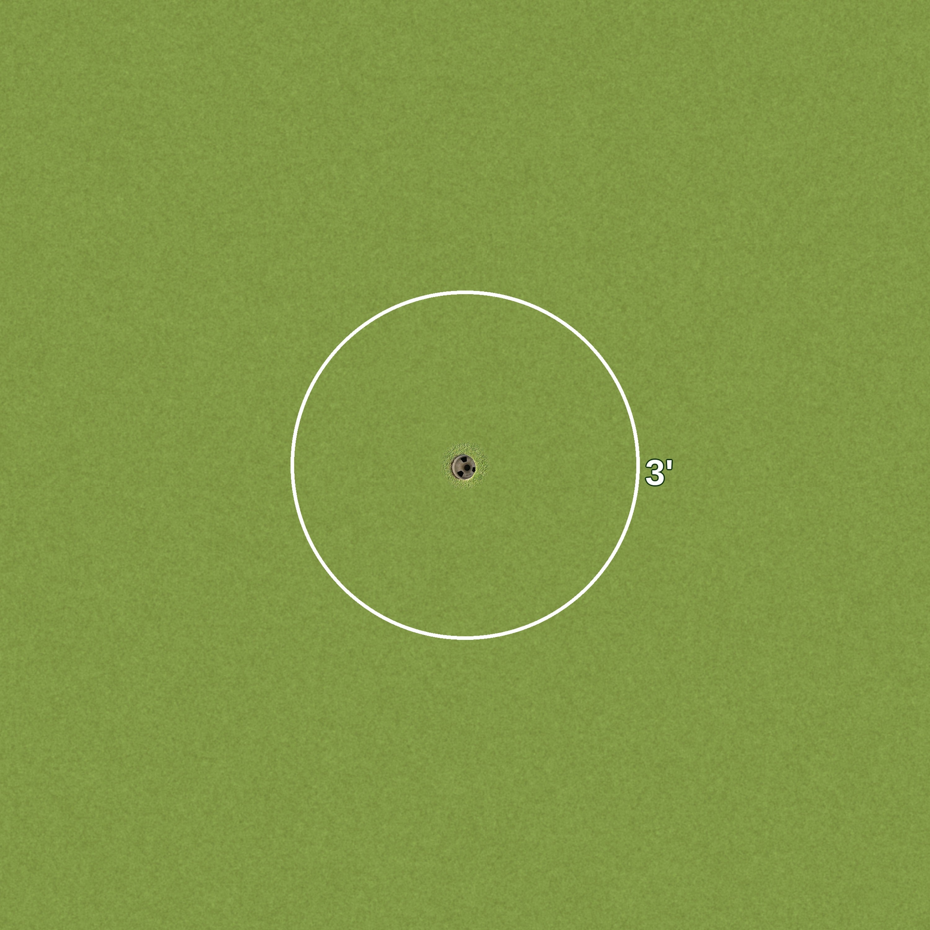 3 Foot Golf Ring
