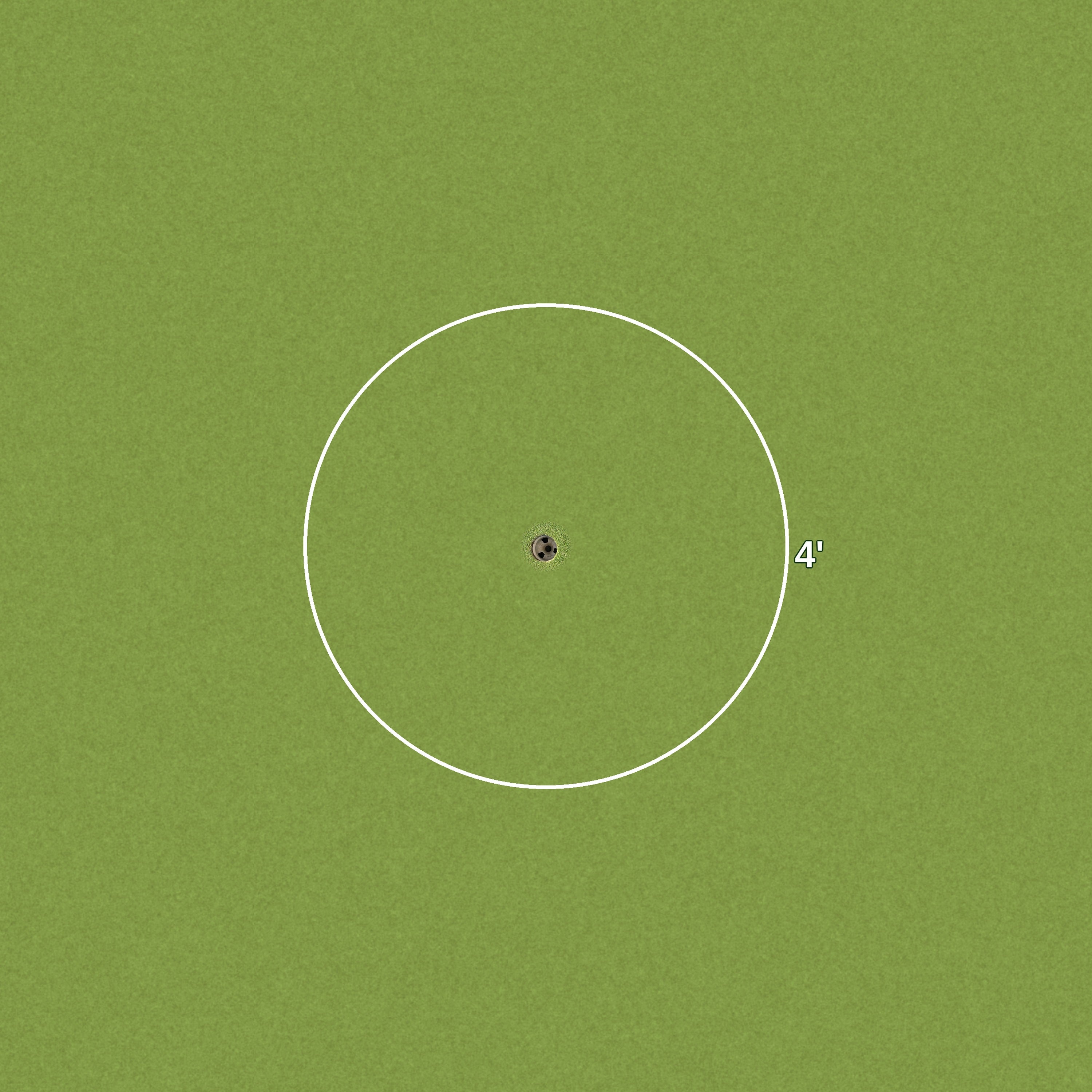 4 Foot Golf Ring