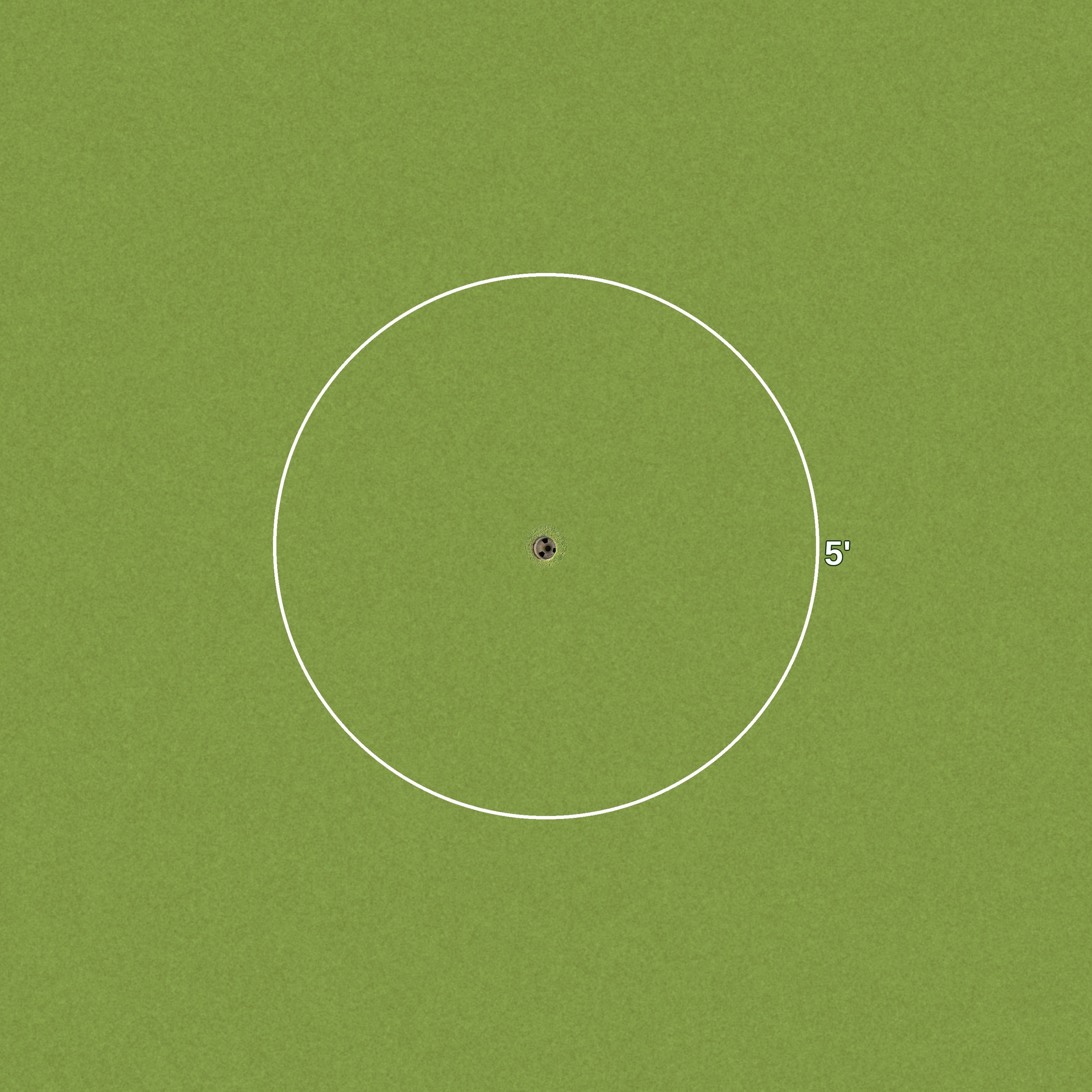 5 Foot Golf Ring