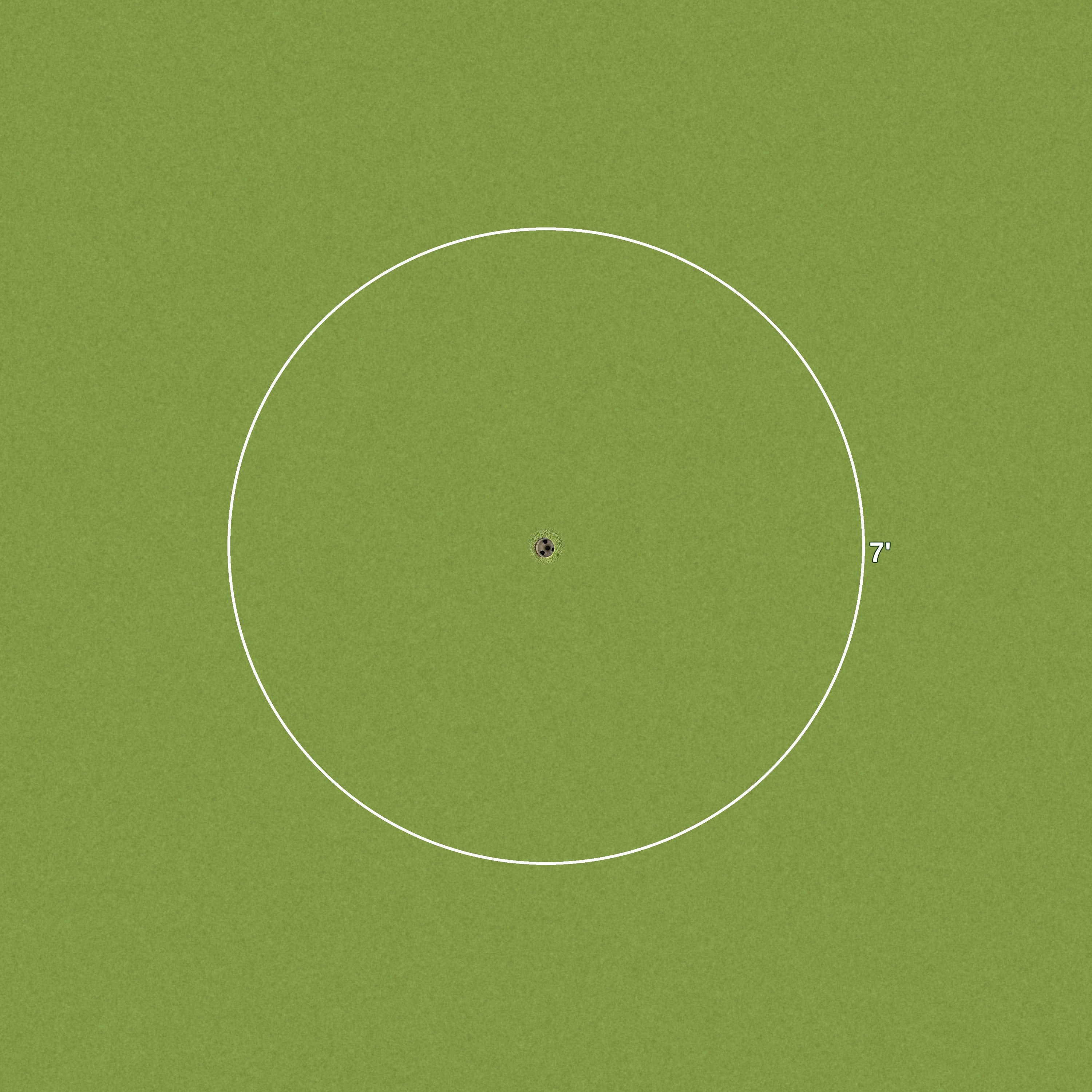 7 Foot Golf Ring