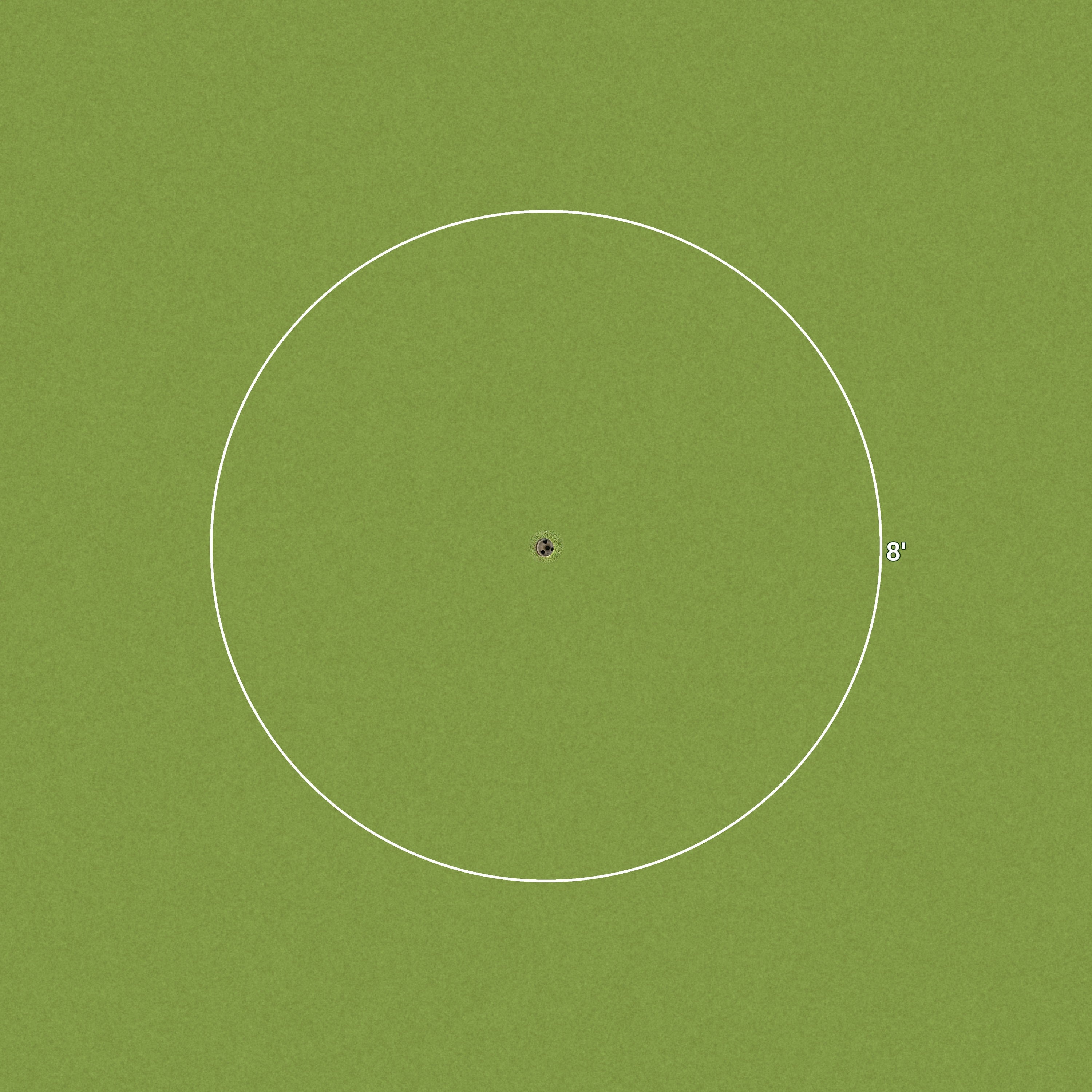 8 Foot Golf Ring