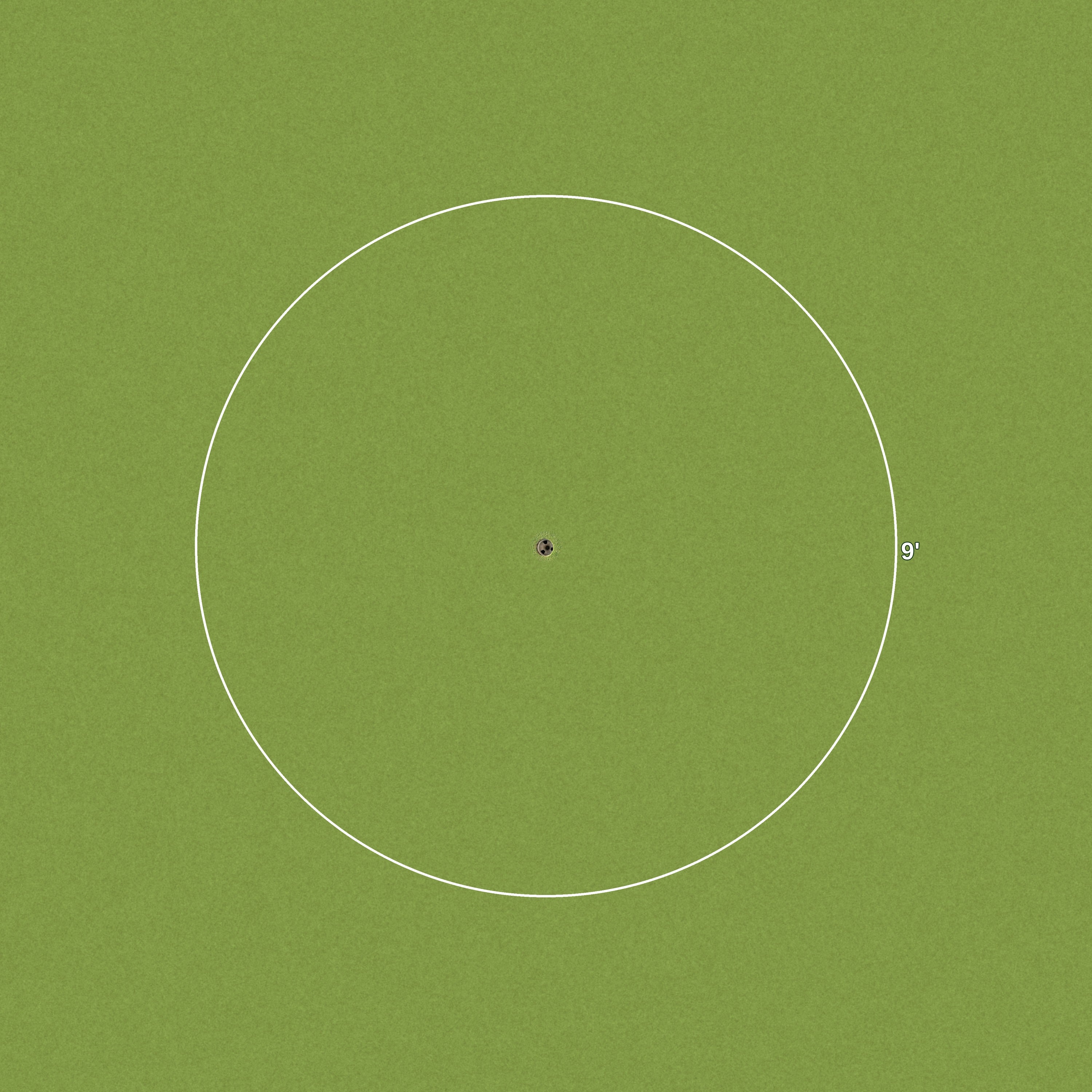 9 Foot Golf Ring